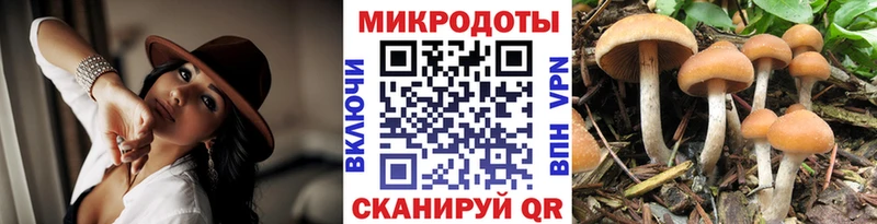 Псилоцибиновые грибы Psilocybine cubensis  Купить закладки  Серов 